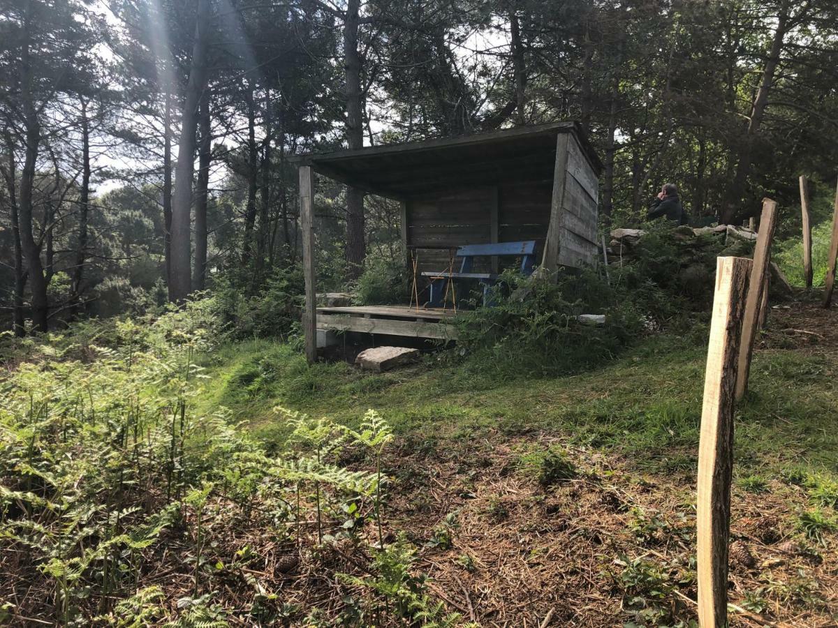 Les Fous De Bassans Poullan-sur-Mer Exterior foto